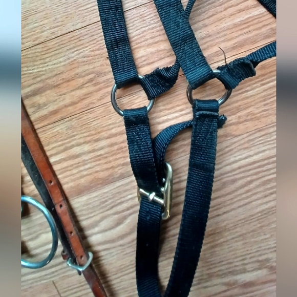 Western leather headstall includes bit and heavy halter - Picture 8 of 8